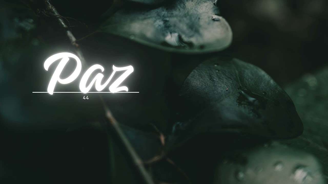 TS: Paz 44 (Rue's Farewell_From "The Hunger Games'' - James Newton Howard)