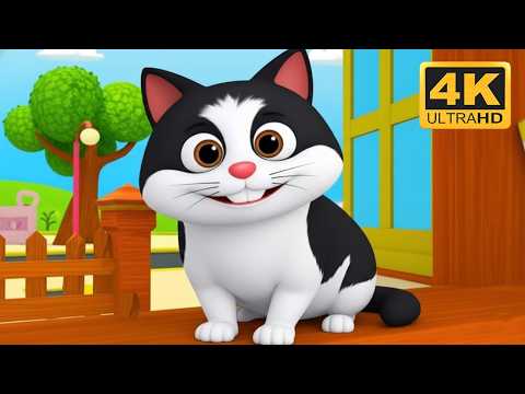 म्याऊँ म्याऊँ प्यारी बिल्ली - Meow Meow Pyari Billi | Hindi Nursery Rhyme | Kids Songs |