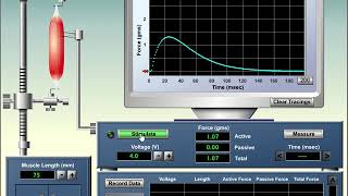 Introducción a Physioex 6.0