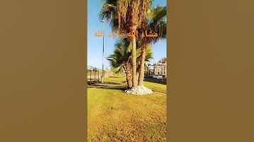 #عبدالرحمن_مسعد #عبدالرحمن_مسعد_تلاوة_جديدة #القران_الكريم #اكسبلور #الشيخ #لايك #راحة_نفسية #sh
