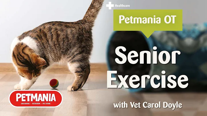 Senior Exercise for Cats with Carol Doyle for Oper...