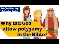 Why did God allow polygamy in the Bible?