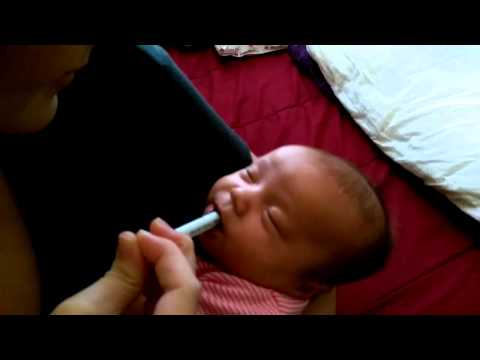 Colic Calm Colic Calm