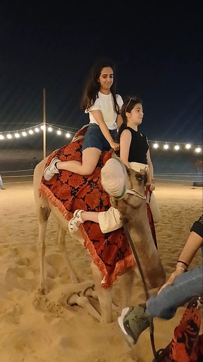 camel ride 🐫 short video of lovely day for ride #arabicmusic #dailymusicroll #spotifyarabia #newtune