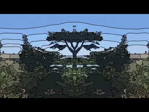 Interlude II