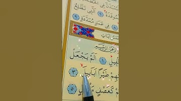 سورة الفيل الأية 1 إلى 5 بصوت سعد الغامدي