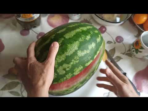 СУПЕР АРБУЗ ДАЙТОНА. НЕ ПРИВИТЫЙ!ЧУДО! СОЗРЕЛ БЕЗ КОРНЕЙ! ЭКСПЕРИМЕНТ С УПАВШИМ АРБУЗОМ В ТЕПЛИЦЕ