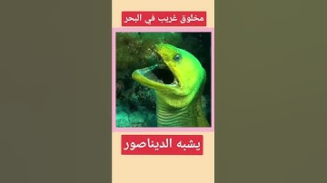 ايات من سورة//السجدة//