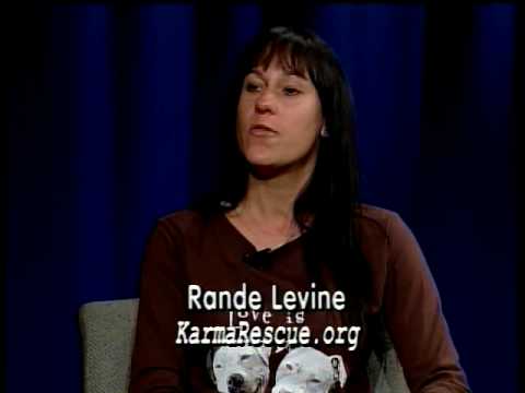 Critter Crusades presents Rande Levine, Founder of...