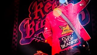 Reel Big Fish - “Skank For Christmas” Live (Pro Filmed)