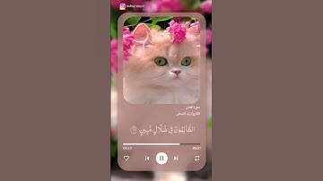 سورة لقمان....القارئ زيد الشنطي