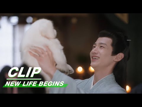 Li Wei Gives Yin Zheng a Puppy | New Life Begins EP2 | 卿卿日常 | iQIYI