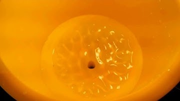 Pontiac Vibe Heater Core Flush