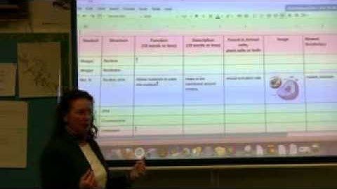 Structures of the Eukaryotic Cell Video #1