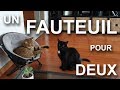 Un fauteuil pour deux feat bernard werber  parole de chat