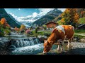 Autumn Vibes In Switzerland S Most Beautiful Village Lauterbrunnen Swiss Valley 