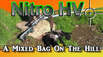 Nitro HV A Mixed Bag On The Hill