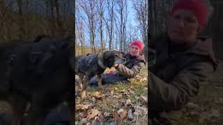 Bernard 1 - Remember Me