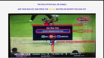 NEOSAT 550HD SUPER AC DC 12V RECEIVER  BISS KEY OPTION