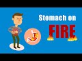 What is Gastritis and How to deal with it? I Health and Nutrition