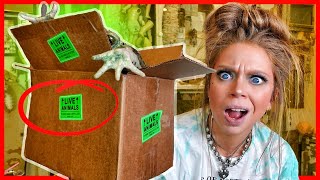 Giant FROG Unboxing! (What Did I Get Myself Into?)