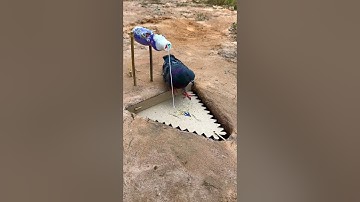 easy pigeon bird trap using paper & plastic bottle #youtubeshorts