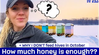 How Much HONEY To Leave Bees For Winter?? Beekeeping 101 #beekeeping