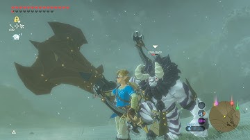 The Legend of Zelda BOTW - Kill Savage Lynel (Crusher Lynel) - Switch - Master Mode