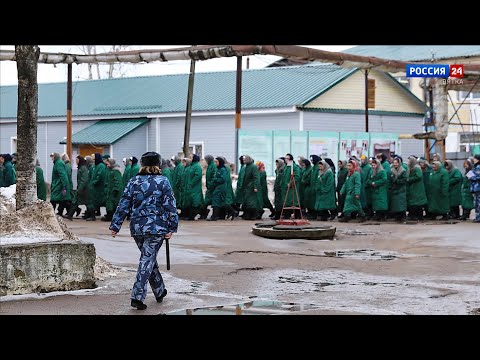 В Вятских Полянах осудили женщину, организовавшую незаконную легализацию иностранцев(ГТРК Вятка)