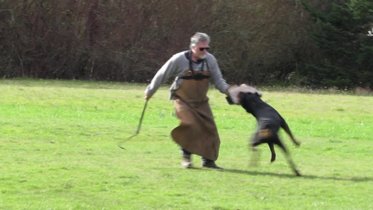 Quanto vd Rabensburg "Riot"