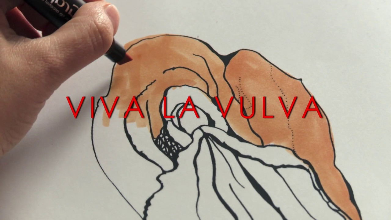 Viva La Vulva