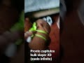 pronto se estrenará mi serie oficial (hulk slayer) preparense