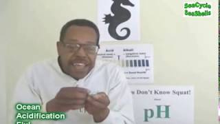 SeaCycle Ocean Acidification Fix