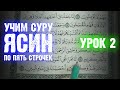 Урок 2 - Учим "ЯСИН" (по пять строчек) / 36-я сура Корана