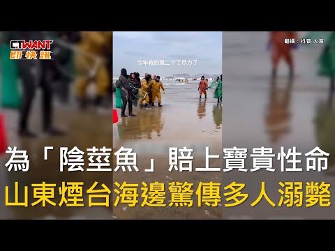 CTWANT 國際新聞 / 為「陰莖魚」賠上寶貴性命 山東煙台海邊驚傳多人溺斃