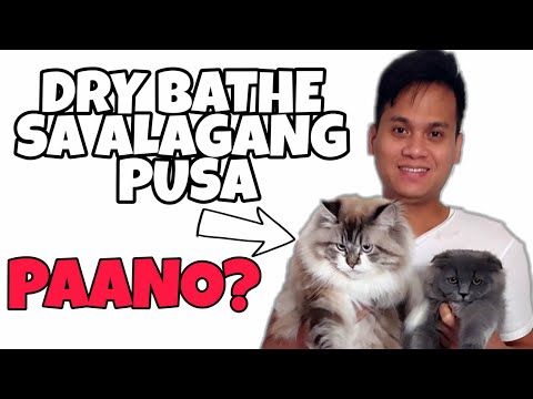 Video: Paano Panatilihin Ang Isang Pusa Mula Sa Pag-scrash Ng Muwebles
