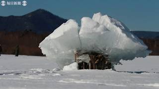 北海道・糠平湖で冬の風物詩、キノコ氷が出現