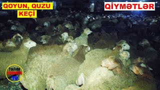 Mal bazari #31.05.2024 (qoyun,quzu ,keci ,cepis) qiymetler