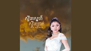 ស្ទឹងស្នេហ៍ស្ទឹងព្រាត់