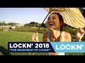 The heartbeat of lockn 2018