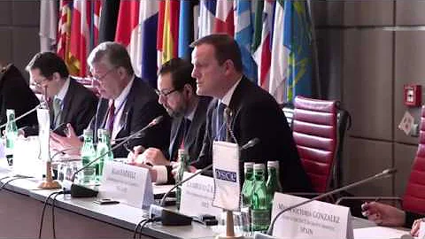Rapporteur Alan Farrell's presentation to Committe...