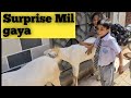 Bakre agay achanak. Bache surprised #trend #viral 