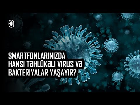 Video: Telefonun Bakteriya Və Viruslardan Zərif şəkildə Dezinfeksiya Edilməsi