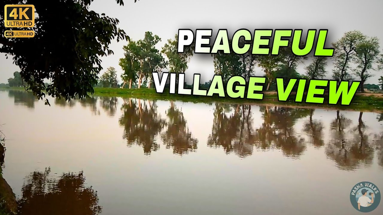 "Peaceful Village Life in Pakistan | Nature Sounds & Rural Beauty"|Pasha Walks(4KFHD)