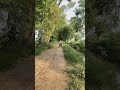 #national bullet in punjab# bullet ke pataka check Karo #viral #tranding #short