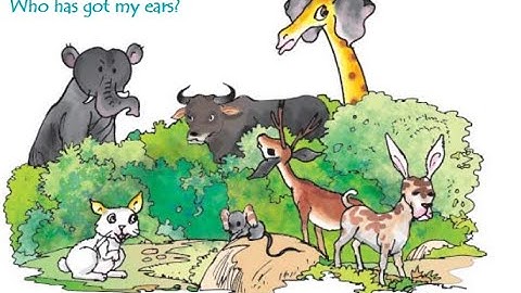 Class IV Sub EVS Chapter 02 Ear to Ear Part 02/04