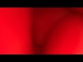 how to vlog february 2025 #instructional #relaxing #relaxation
