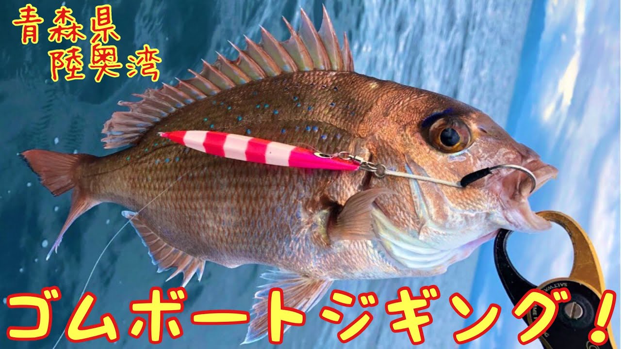 ゴムボート陸奥湾すぐ出れるセット 貸切シュノーケリングツアー 高速 