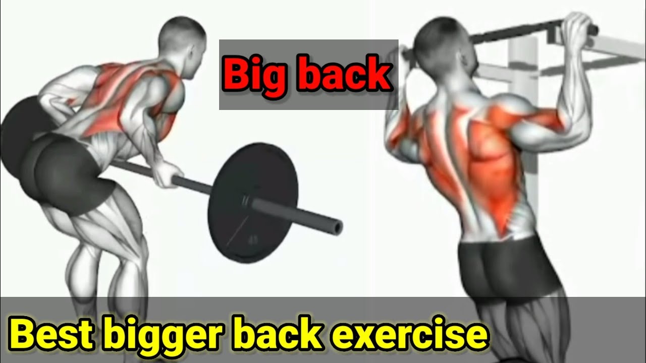 🇨🇮 National fitness -5 Exercise build bigger back - YouTube