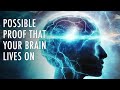 Did Scientists Just Discover That Your Brain LIVES After You Die? | Unveiled